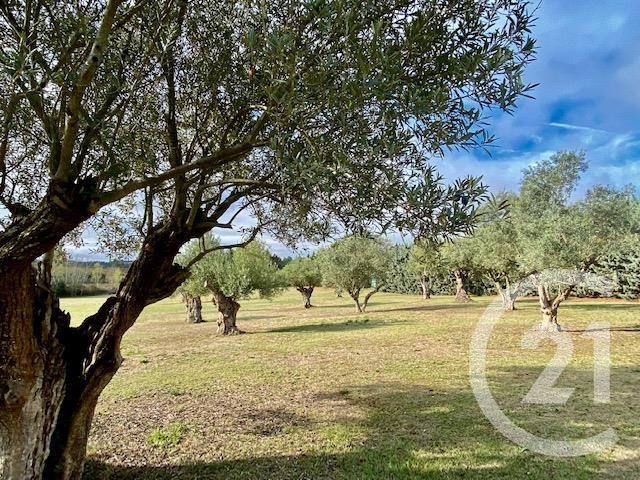 maison à vendre - 9 pièces - 588.89 m2 - CARCASSONNE - 11 - LANGUEDOC-ROUSSILLON - Century 21 Immo Conseil 11