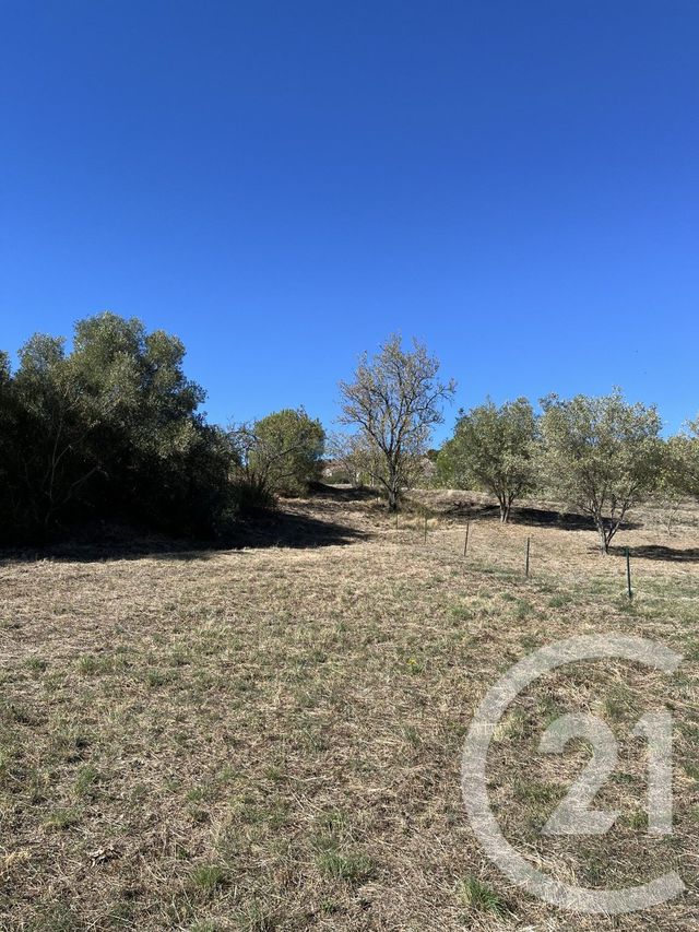 Terrain à vendre CAUNES MINERVOIS