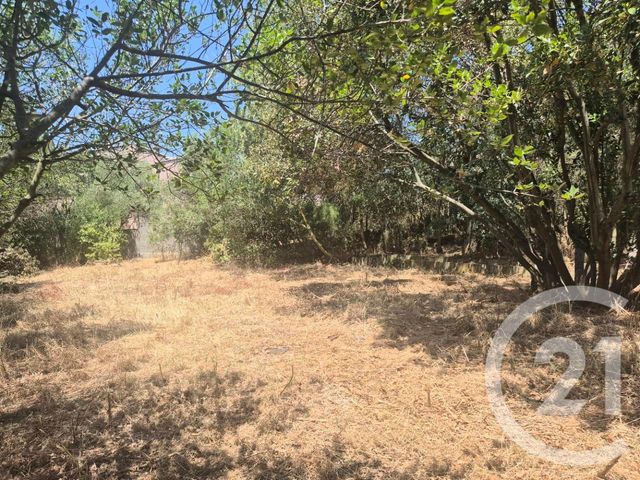 maison à vendre - 6 pièces - 168.34 m2 - CARCASSONNE - 11 - LANGUEDOC-ROUSSILLON - Century 21 Immo Conseil 11