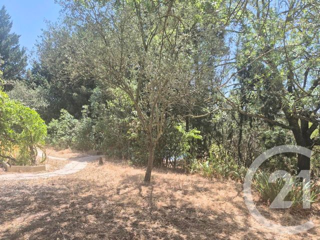maison à vendre - 6 pièces - 168.34 m2 - CARCASSONNE - 11 - LANGUEDOC-ROUSSILLON - Century 21 Immo Conseil 11
