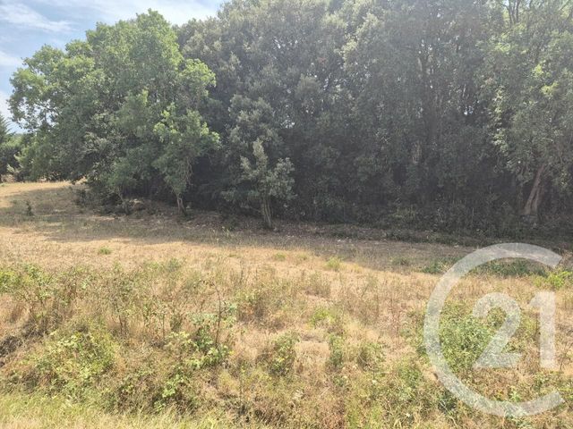 terrain à vendre - 1000.0 m2 - MONTOLIEU - 11 - LANGUEDOC-ROUSSILLON - Century 21 Immo Conseil 11